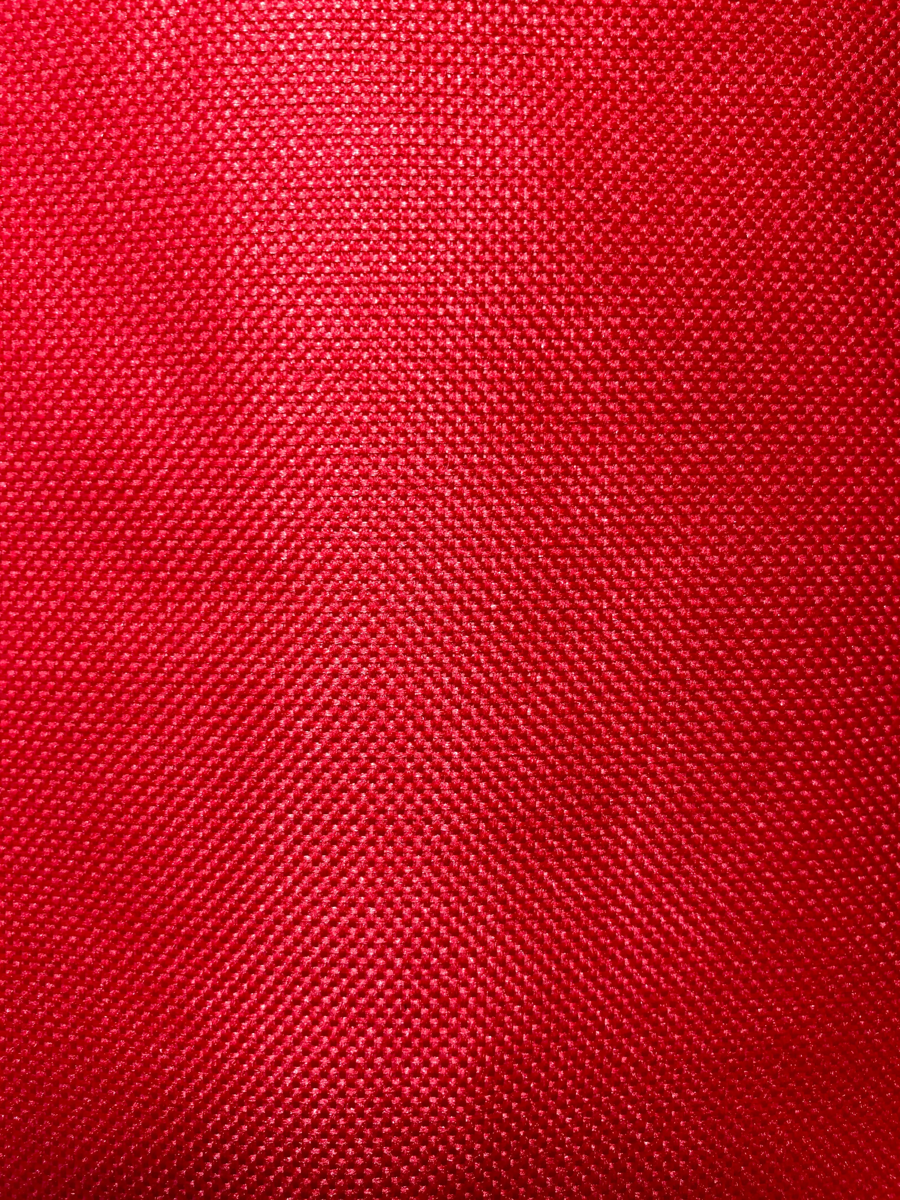 Down Syndrome Medical Alert Seat Belt Cover